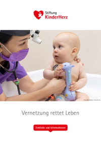 PDF Deckblatt Projektskizze Notfallmedizinische Vernetzung