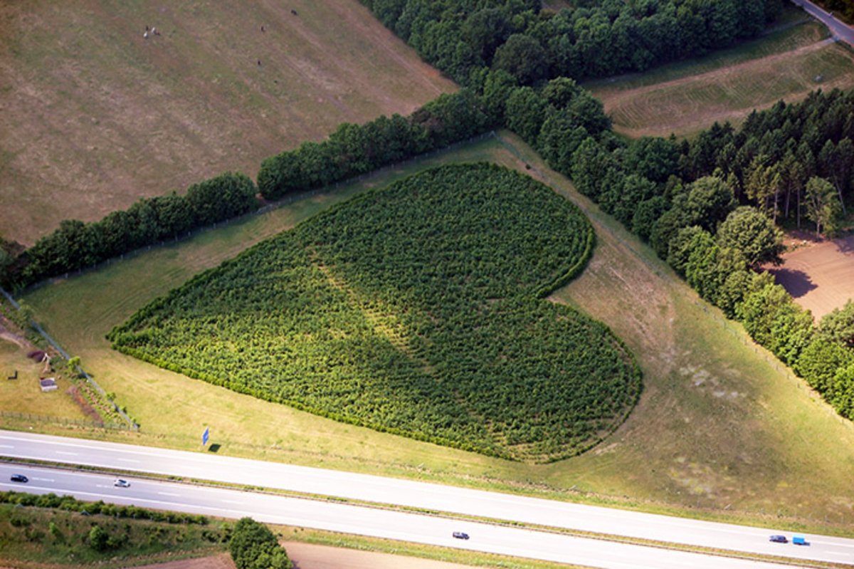 Foto: Karsten Wilkening